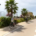 Hotel Numi